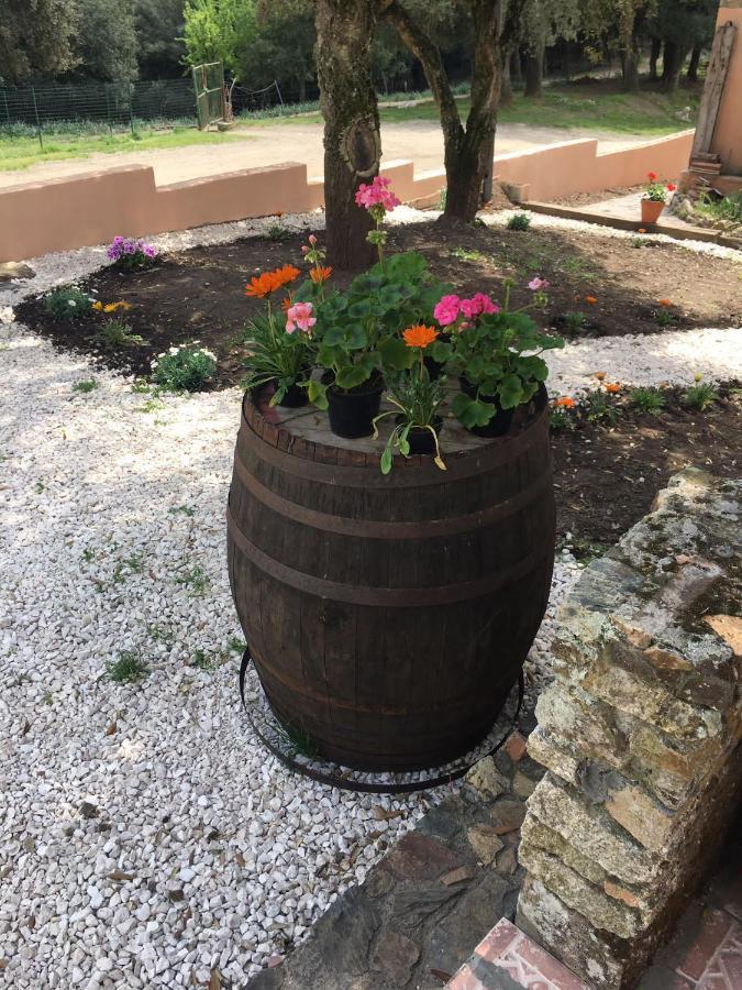 Azienda Agrituristica S'argalasi - - Loc S'argalasi Vakantieboerderij Austis