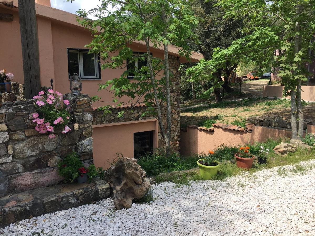 Azienda Agrituristica S'argalasi - - Loc S'argalasi Alloggio per agriturismo Austis