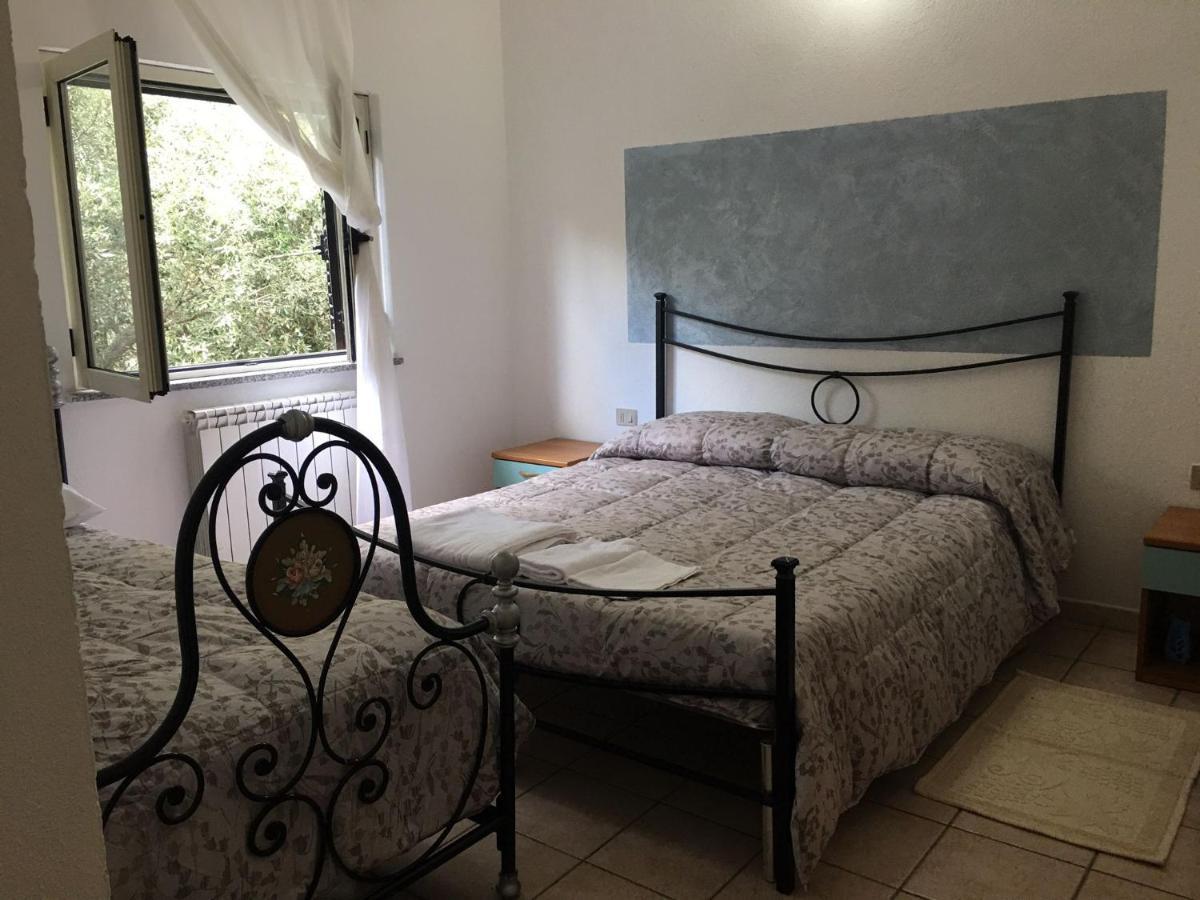 Alloggio per agriturismo Azienda Agrituristica S'argalasi - - Loc S'argalasi