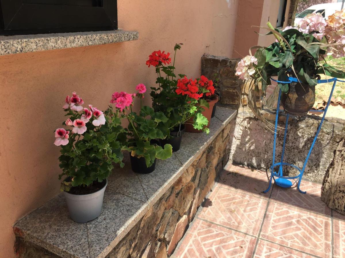 Alloggio per agriturismo Azienda Agrituristica S'argalasi - - Loc S'argalasi Austis